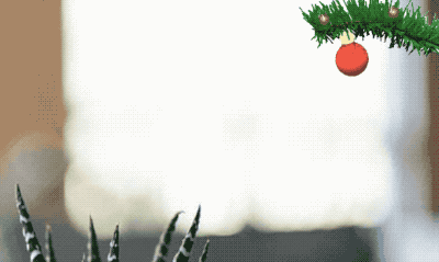 Christmas Balls